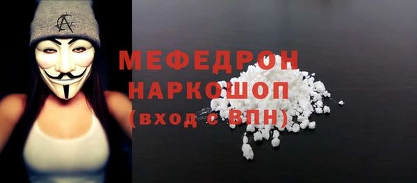 СК Алексин