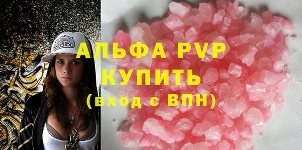 СК Алексин