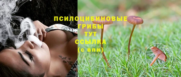 jwh Алзамай