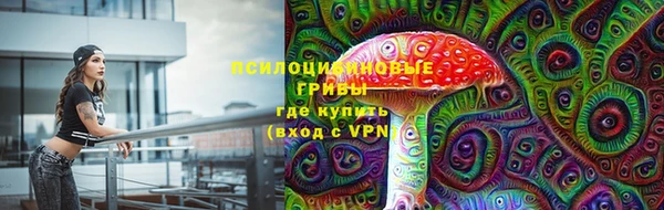 СК Арсеньев
