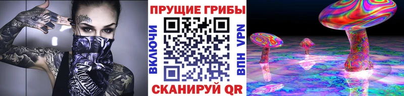 Галлюциногенные грибы ЛСД  ОМГ ОМГ ссылка  Мелеуз  сколько стоит 